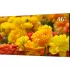 Монитор DAHUA DHL460UCM-ES Монитор DAHUA DHL460UCM-ES